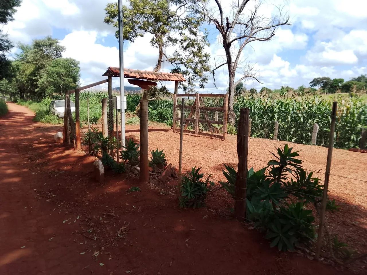 Roça Sítio Rancho Localizado na Canoa (Cláudio) - Foto 4