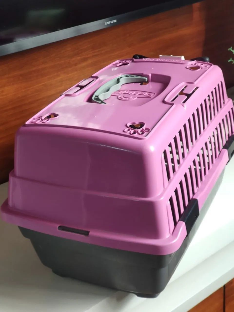 caixa transporte animais pequena - Foto 3