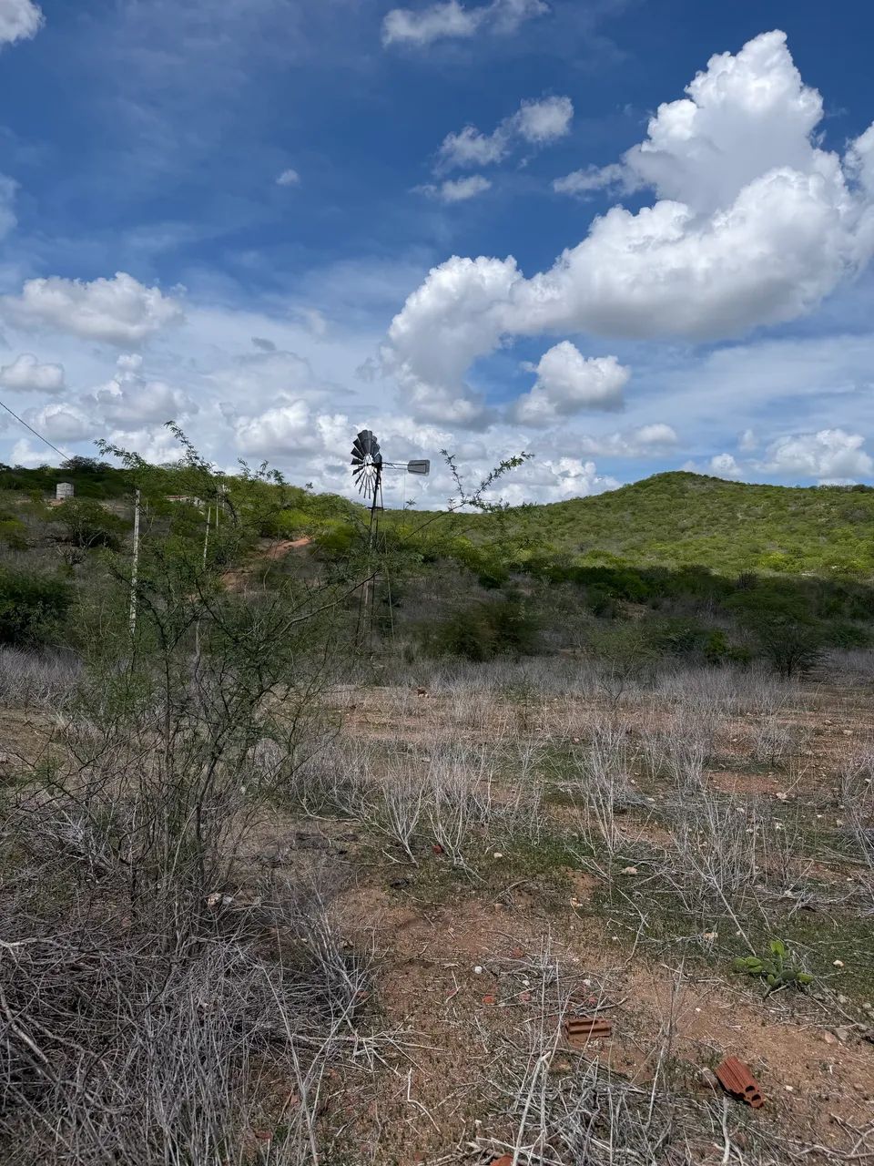 Fazenda em PICUI PB