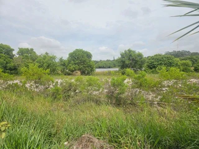 Vendo lote lagoa de ponta da fruta 540mts2  - Foto 3