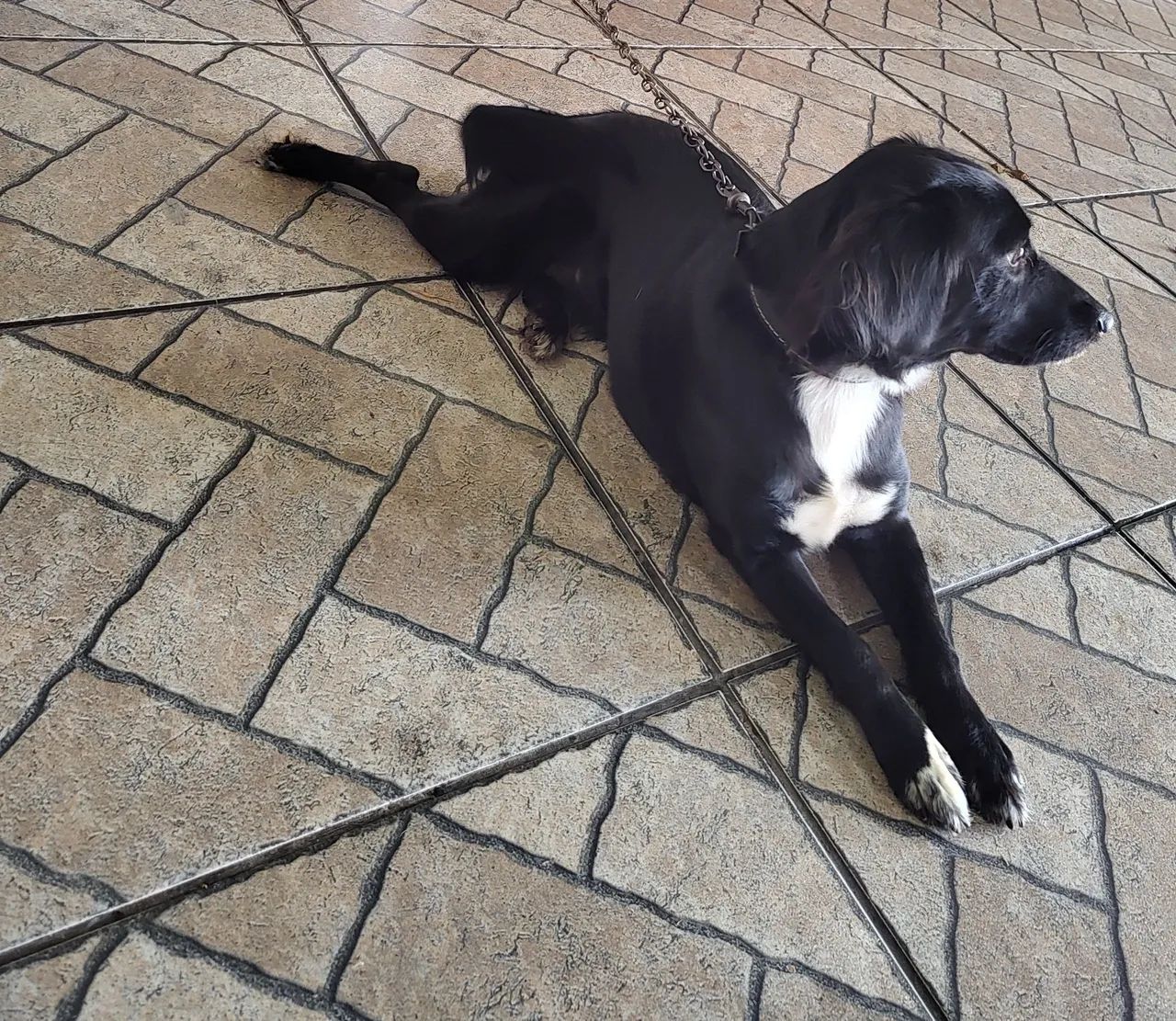 Doação  - Foto 4