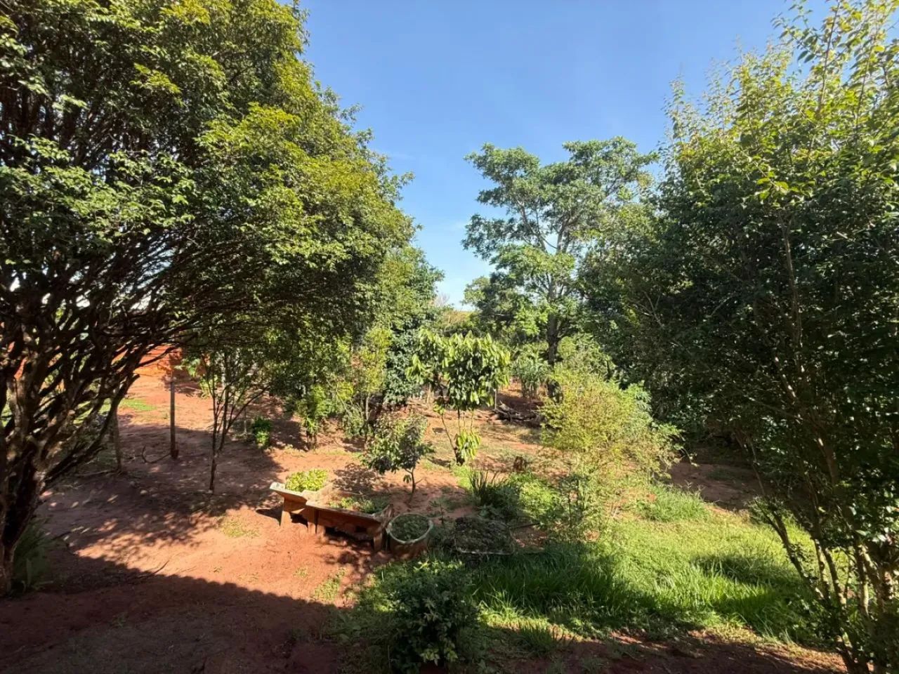 Chacara em Iguatemi - Foto 5