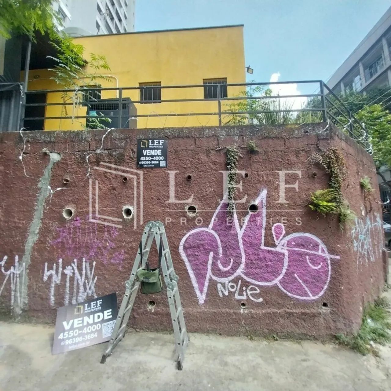 R Pires da Mota, Aclimação - Foto 3