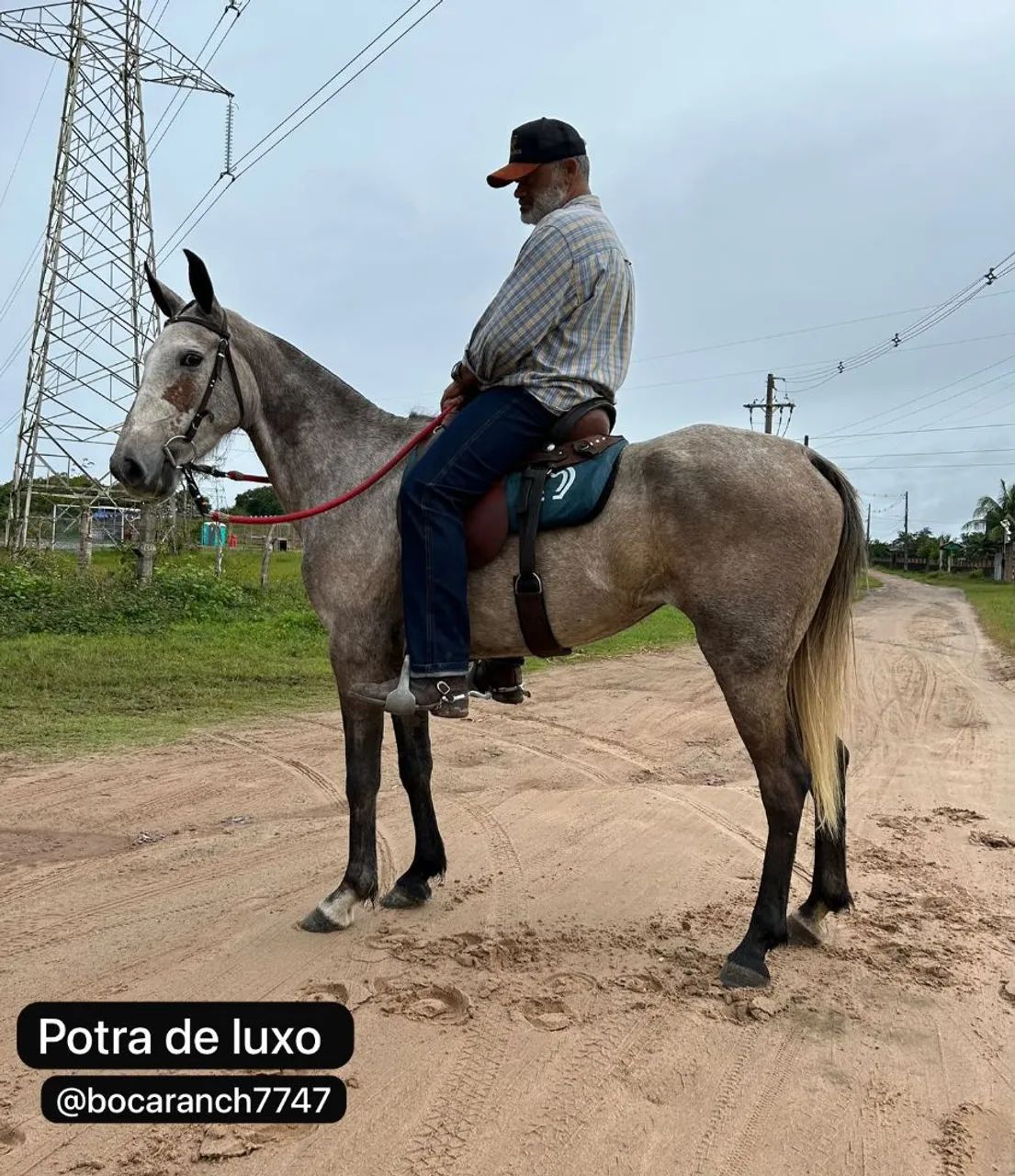 Égua MM - Foto 3