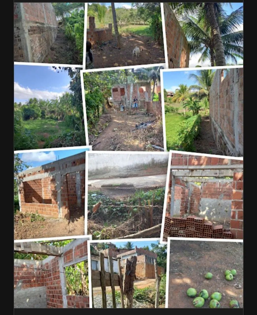 Foto - Jaboatão dos Guararapes - Sucupira