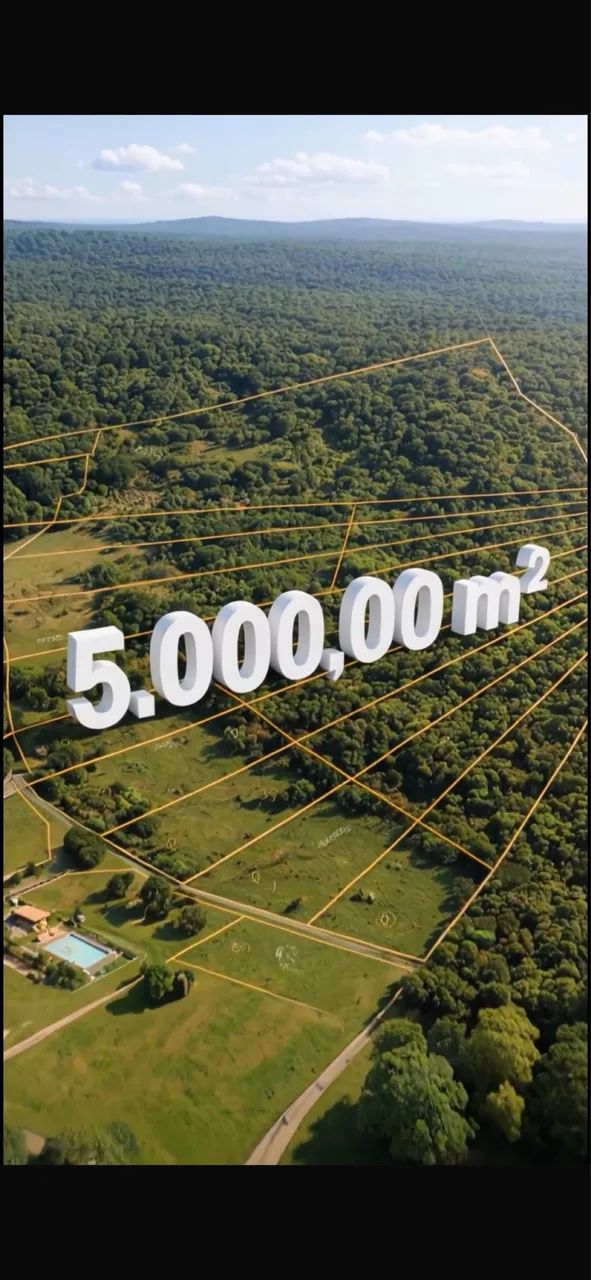 Foto - Mateus Leme - 