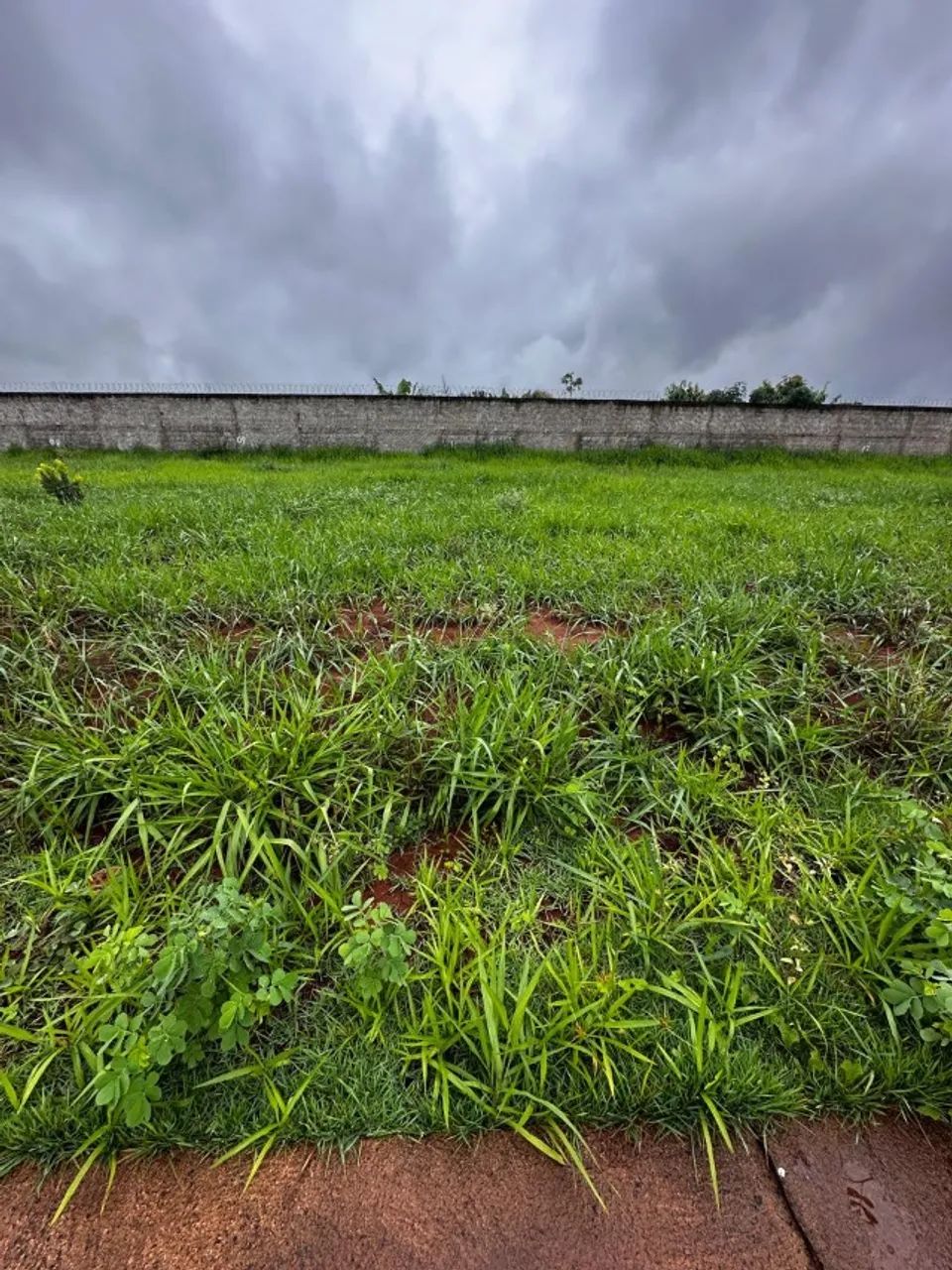 Foto - Uberaba - Loteamento Maria Barbosa
