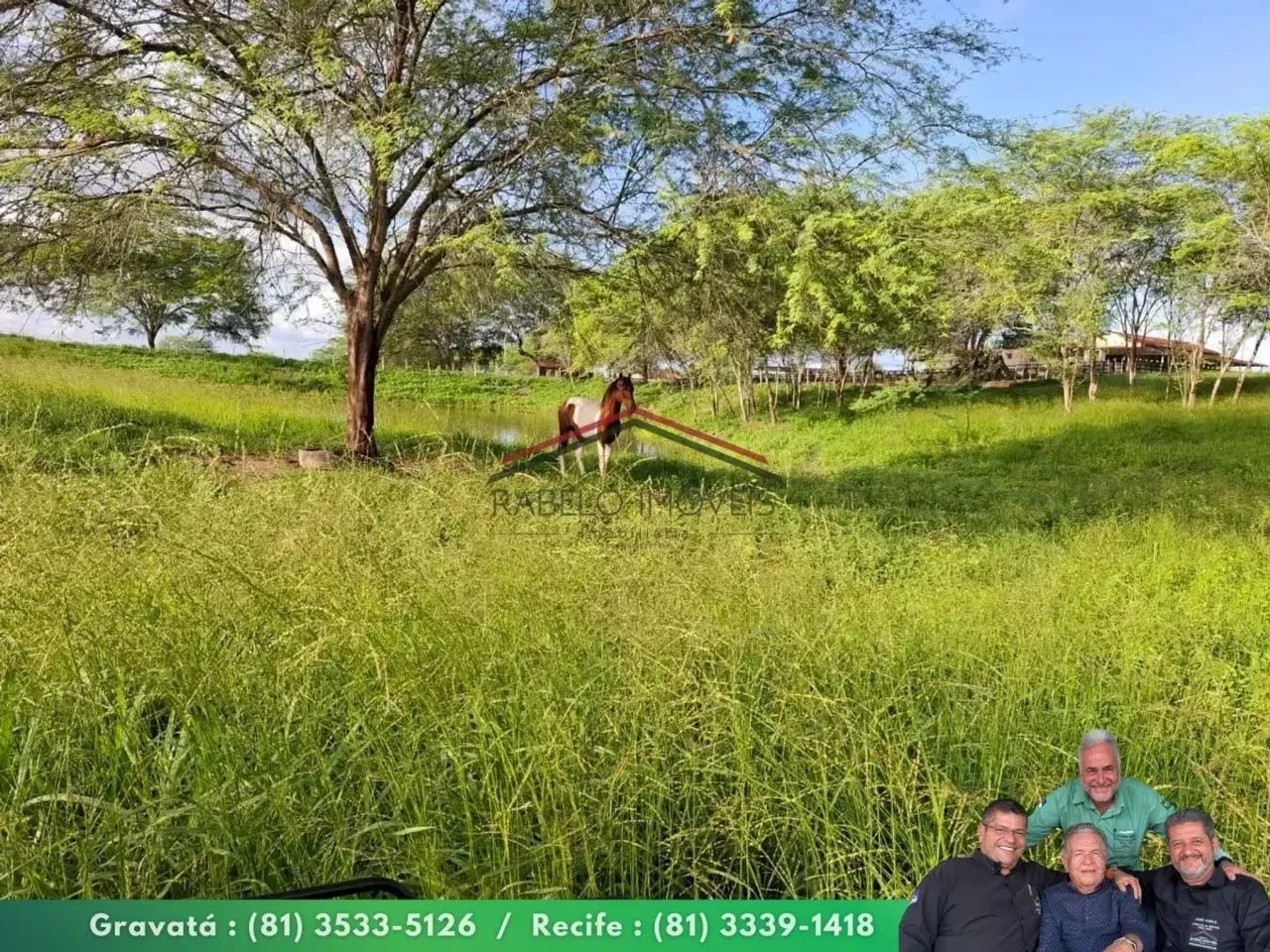 Fazenda Completa em Limoeiro  281,6 Hectares