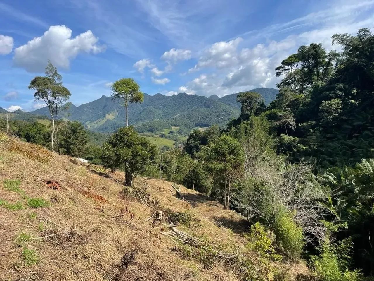 Terreno São Pedro Da Serra - Foto 2