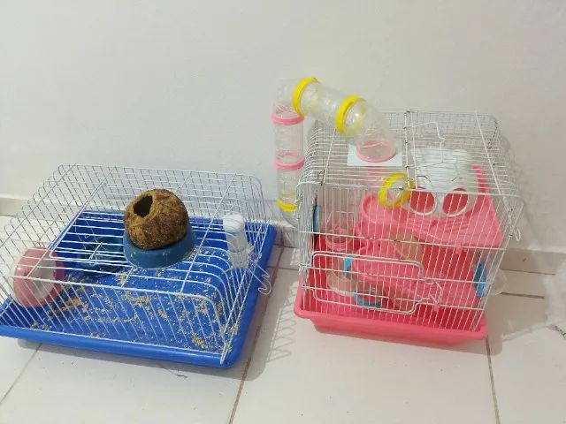 Duas (2) Gaiola para hamster ou porquinho da índia  