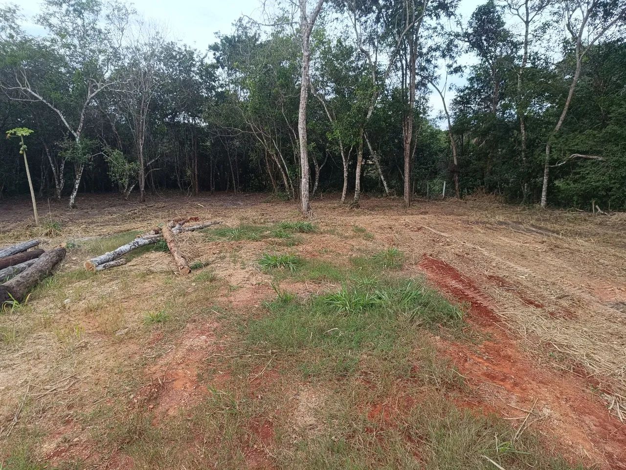 Terreno em Bonito 12x90m 