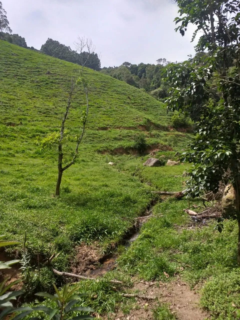 Sitio Rio do Poncho - São Bonifácio 3hectares - Foto 4
