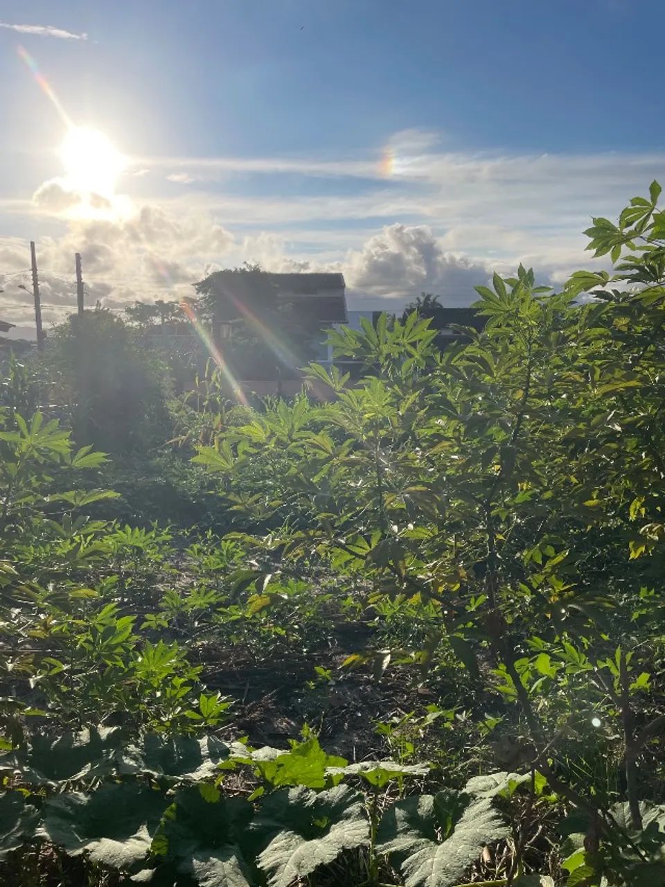 Terreno praia de Itaguaçu  - Foto 2