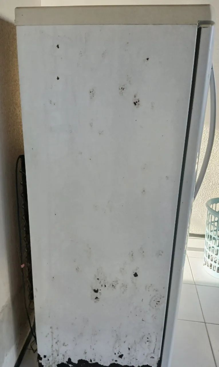 Geladeira  Electrolux  RFE38. - Foto 3