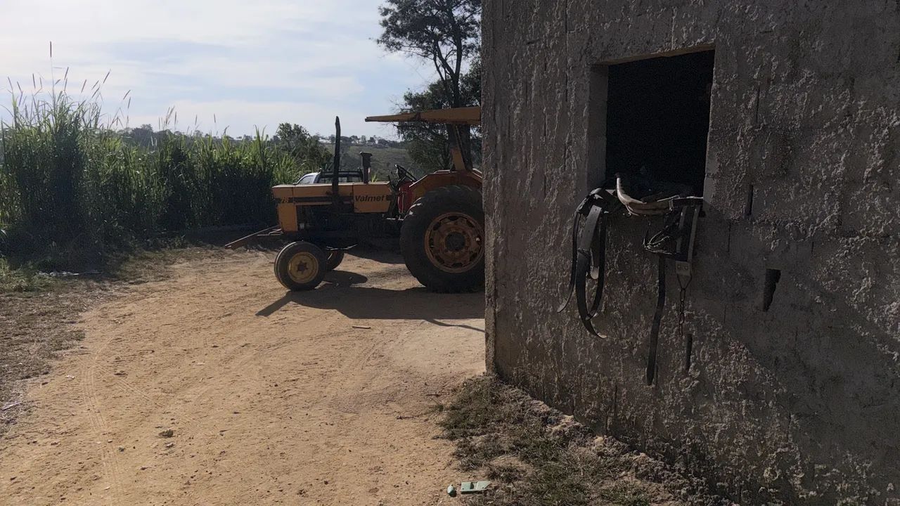 Trabalhador rural  - Foto 3