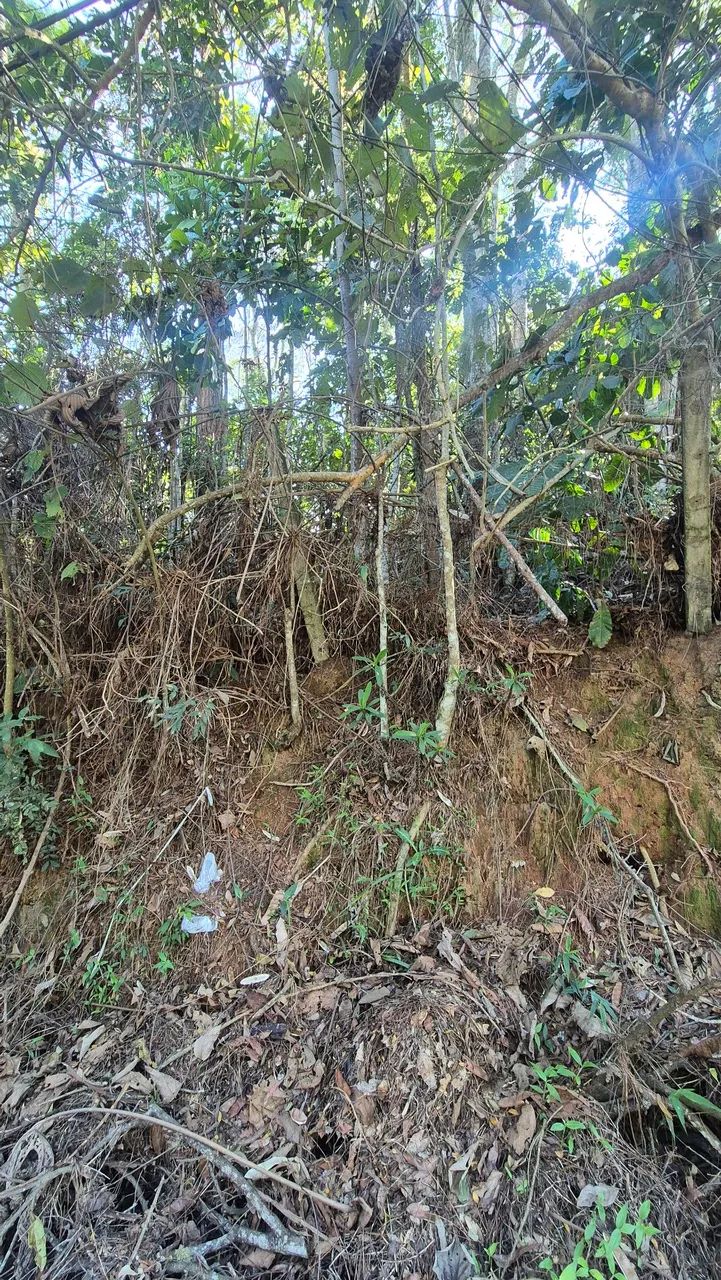 VENDO TERRENO BRAUNES  - Foto 3