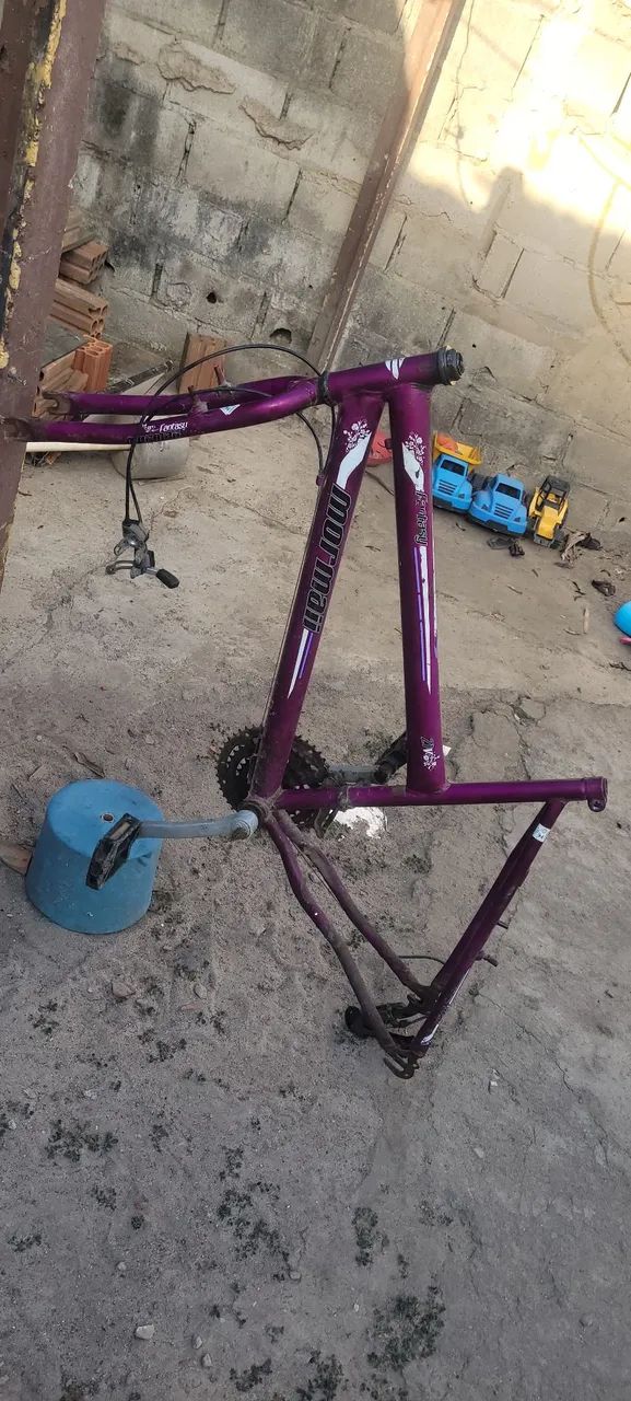 Quadro já com garfo 50R$