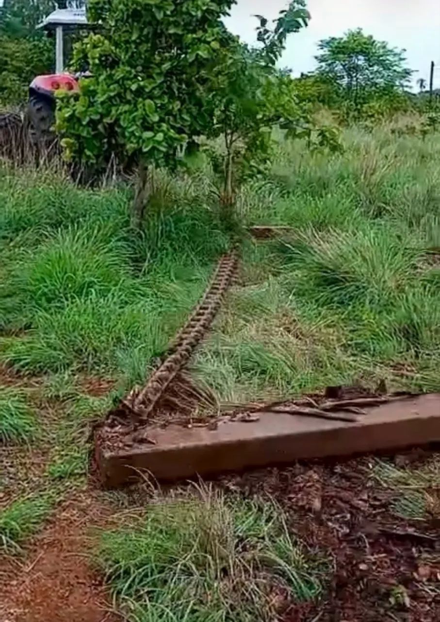 Implemento de limpar pasto. - Foto 2