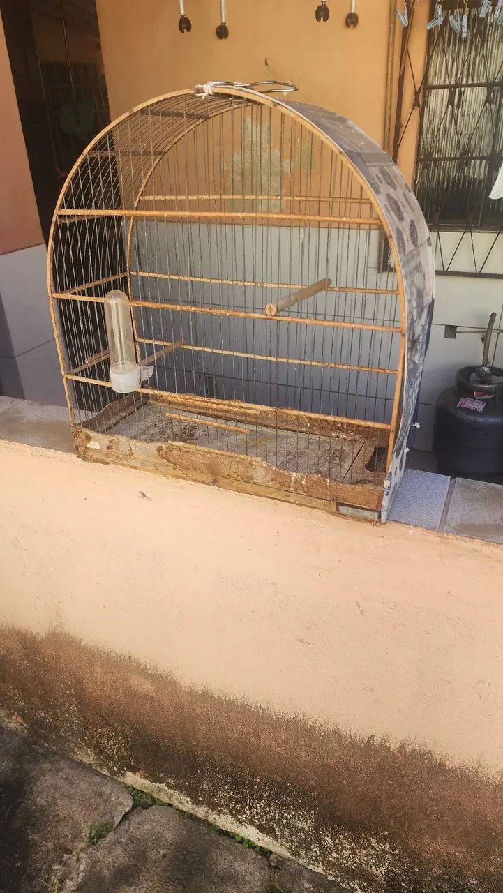 Gaiolas em bom estado  - Foto 2