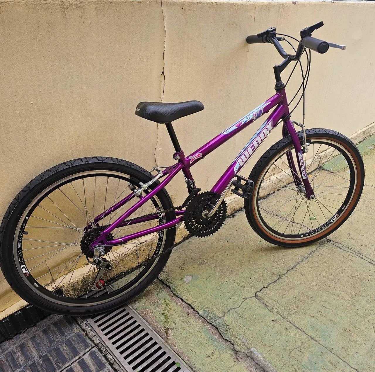 Vende-se bicicleta  Aro  24