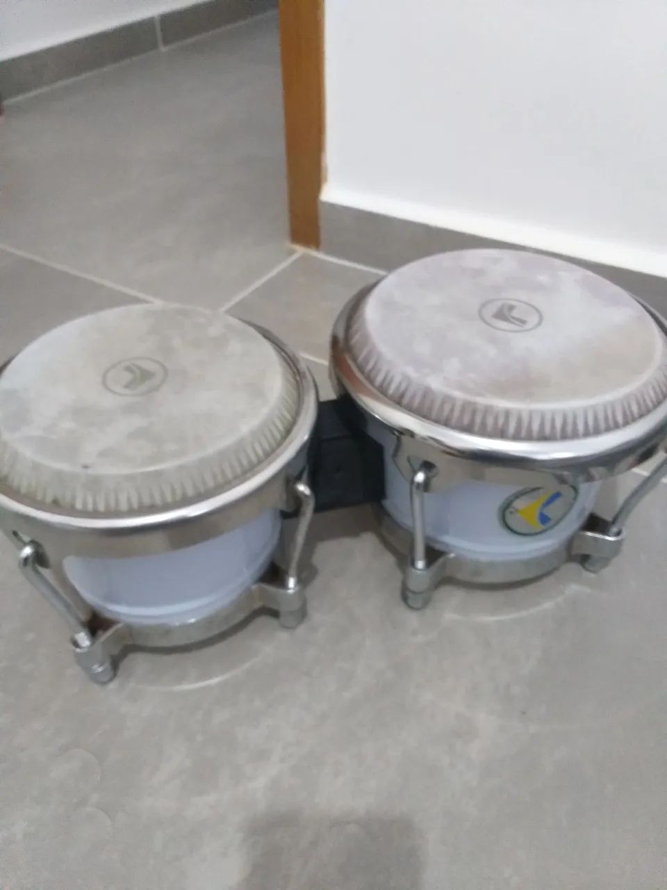 BONGO