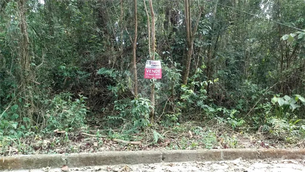 Terreno à venda em Santa inês - SP - Foto 4