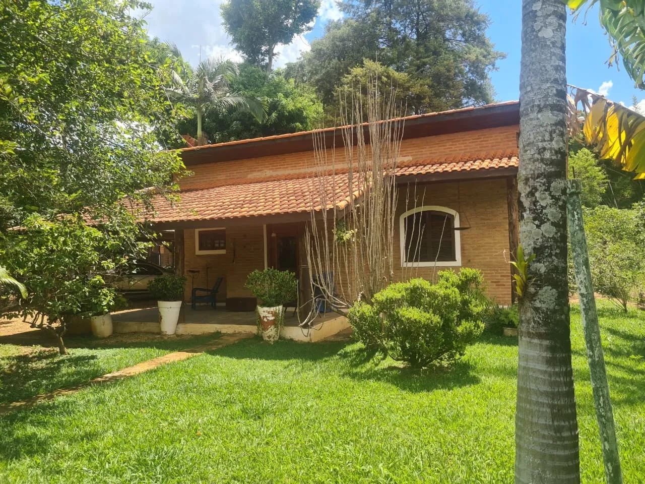 Foto - São José do Rio Pardo - 