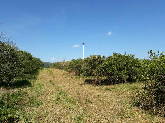 Chacara Piracicaba 1.000mts 50mil