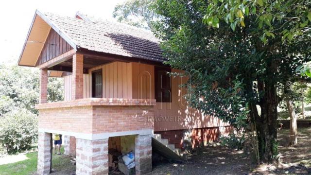 Sítio em gramado, linha tapera, 3,8 hectares - Foto 8