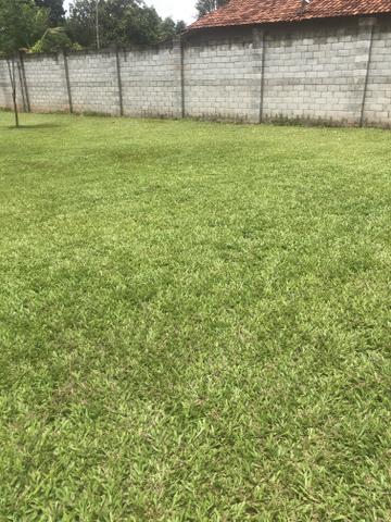 Venda