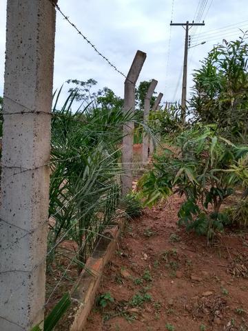 Chacara a venda 2,700 mt coleção de frutas mais de 200 especis dentro da cidade - Foto 6