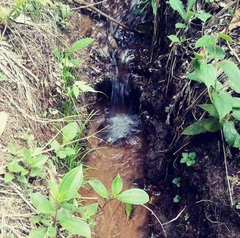 Terreno próximo a cachoeiras do Caldeirão. Baependi/MG - Foto 5