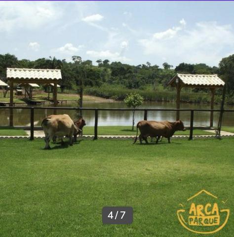 Ágio Chácara - Foto 5