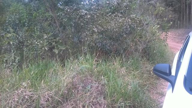 Urgente Fazenda a baixo valor de mercado (Angatuba SP) - Foto 10