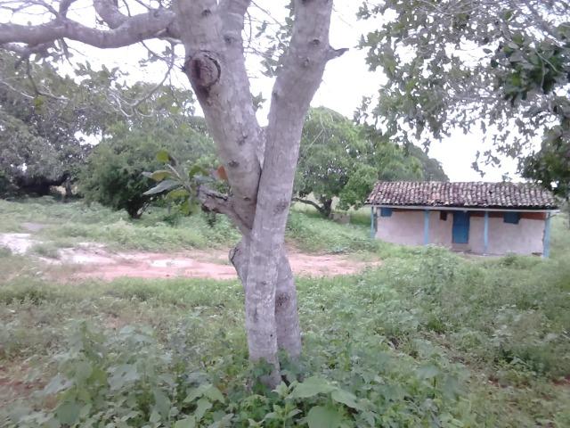 Chacara Vitória - Foto 3