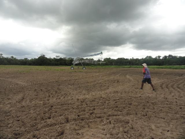 Sitio-20 ha-Lazer-Produção-Banho-15km do centro de Teresina - Foto 11