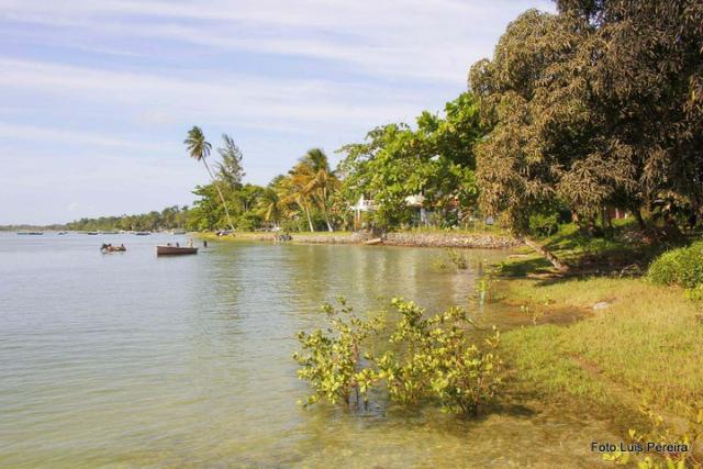 Terreno na ilha de Catu de Berlinque a partir de 7.000,00 - Foto 12