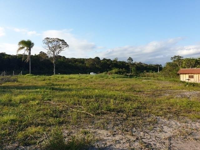 1420 Chácara no Bairro Pinheiros - Foto 5