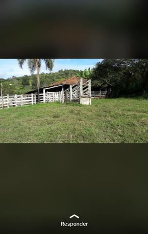 Fazenda próximo Araguari 72 Alqueires - Foto 6