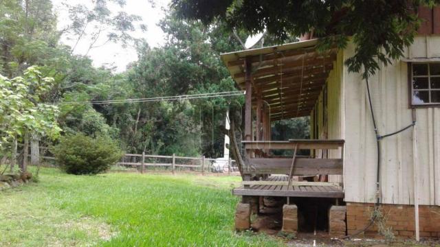 Sítio em gramado, linha tapera, 5 hectares - Foto 8
