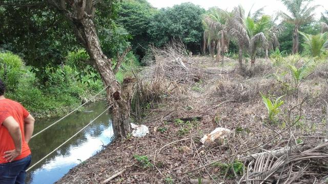 Sítio dos sonhos seu pedaço do Paraíso com 7 hectares por 150 mil - Foto 4