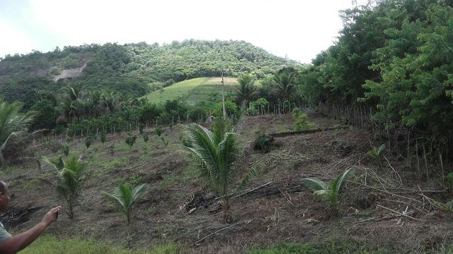 Sítio dos sonhos seu pedaço do Paraíso com 7 hectares por 150 mil - Foto 11
