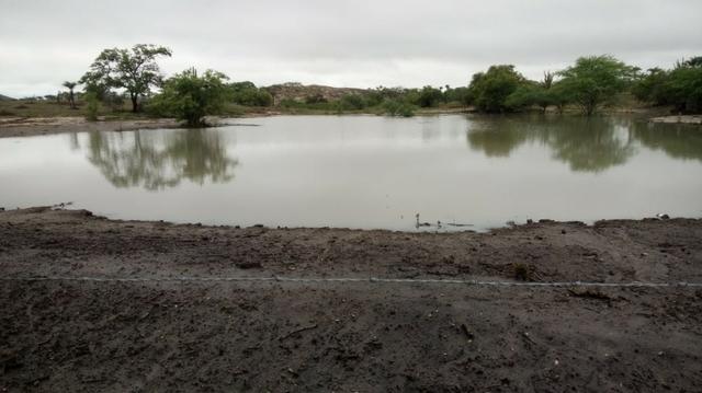 Fazenda de 791 tarefas, com sede nova e curral de ripão coberto com embarcador e balança - Foto 2
