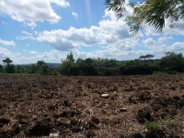 Fazenda para venda em paudalho, guadalajara - Foto 13