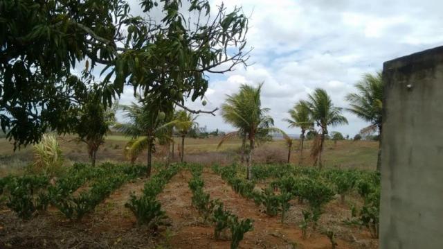 Sítio para venda em lagoa do itaenga, lagoa de itaenga - Foto 10