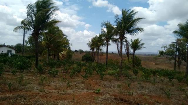 Sítio para venda em lagoa do itaenga, lagoa de itaenga - Foto 11