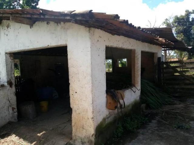Fazenda para venda em paudalho, guadalajara - Foto 16