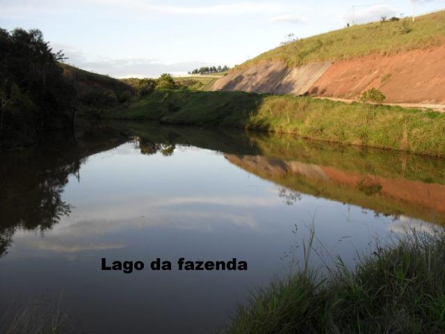 Fazenda com tudo (Casas, lagos, heliporto etc) - Foto 2