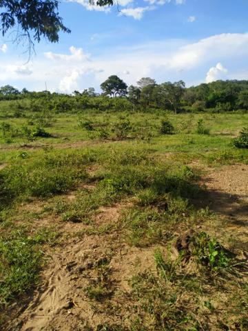 Fazenda - Foto 2