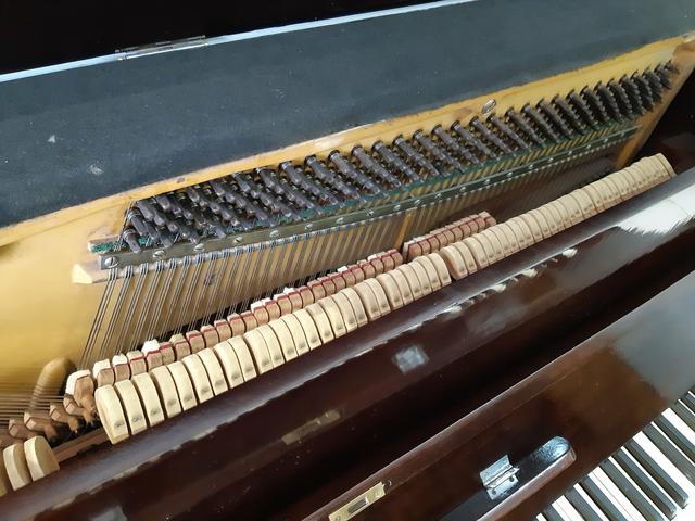 Piano Essenfelder mod apartamento - Foto 2
